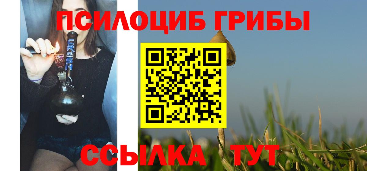 Псилоцибиновые грибы Psilocybine cubensis  Псилоцибиновые грибы Cubensis  Нижнеудинск  Вход с VPN 
